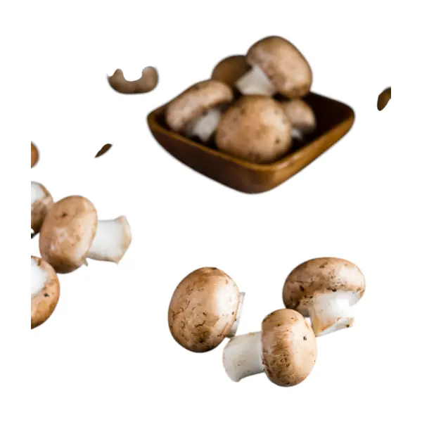 Shiitake Frais - 250 GR